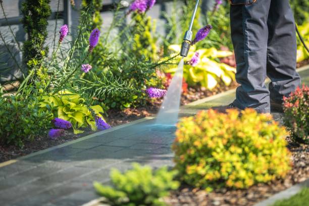 Reliable Gholson, TX Pressure Washing Services Solutions